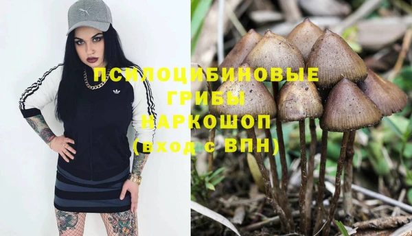 COCAINE Алексеевка