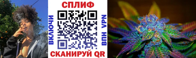 купить наркоту Волгодонск Каннабис сатива